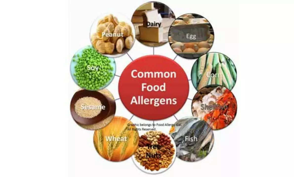 The Role of Nutrition in Managing Allergic Disorders